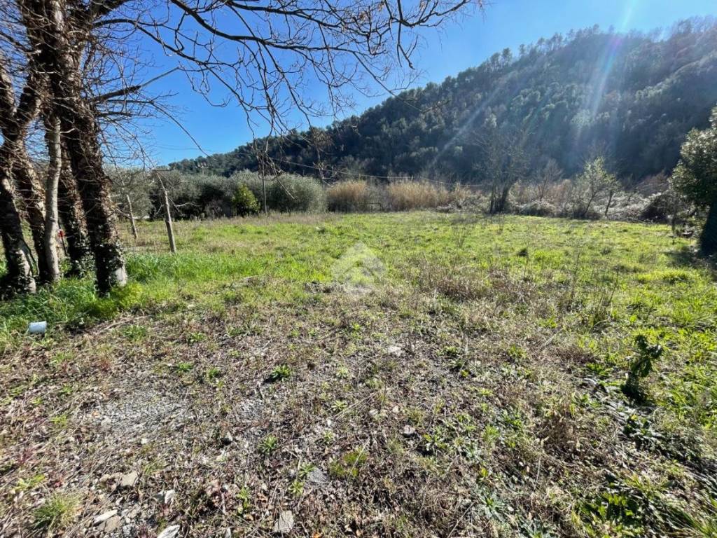 Terreno a Stellanello in Frazione san Lorenzo, 1 - Foto 5