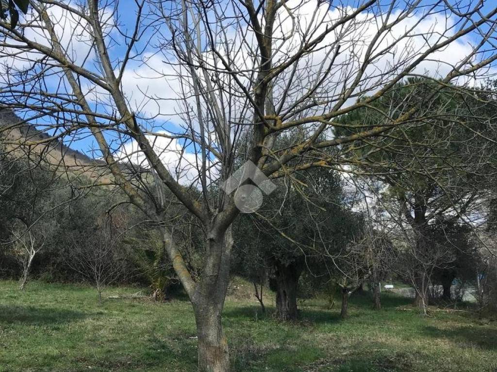 Terreno a Pozzilli in Via Maiella - Foto 2