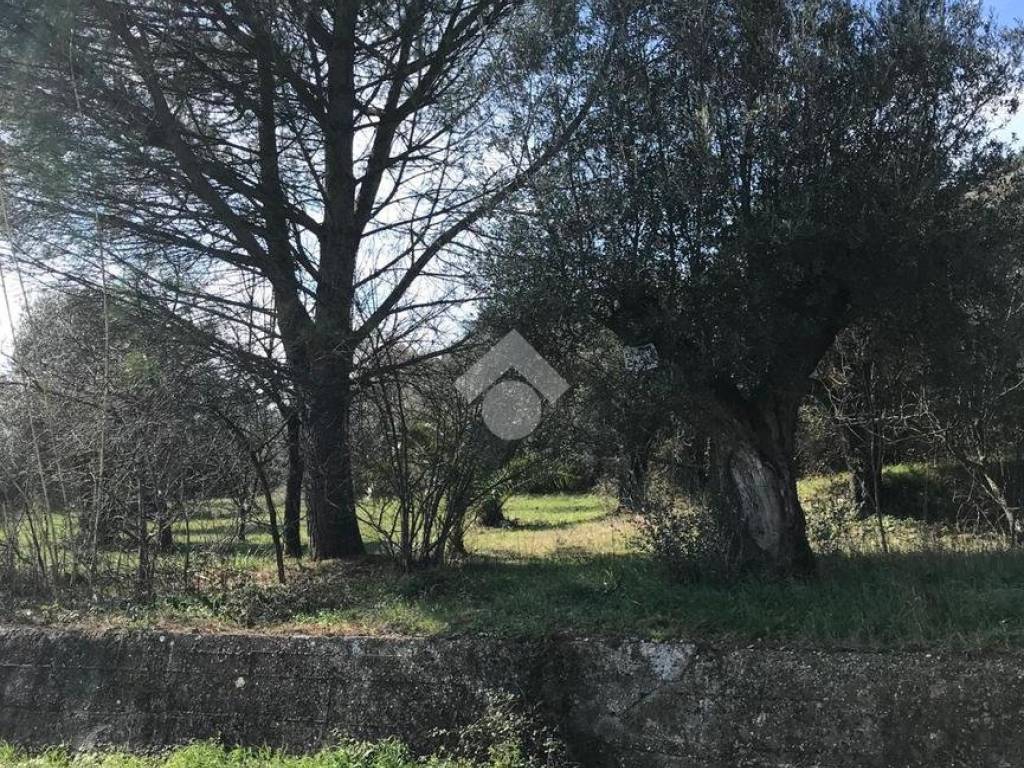 Terreno a Pozzilli in Via Maiella - Foto 3