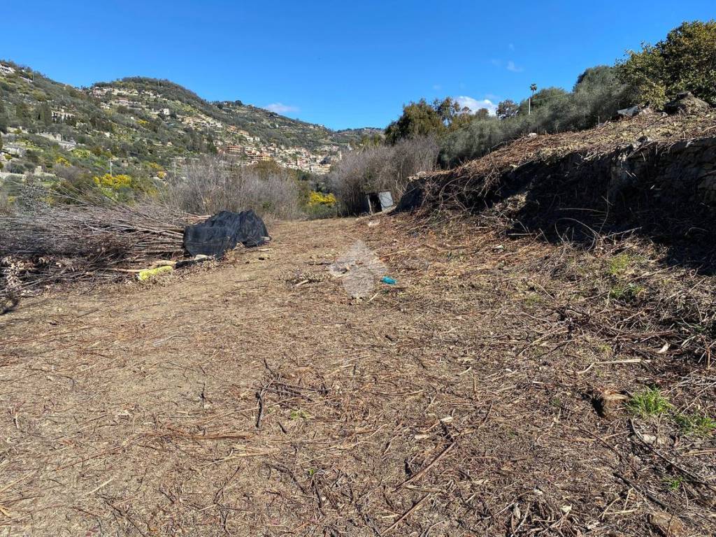 Terreno a Bordighera in Str. Giambranca - Foto 2