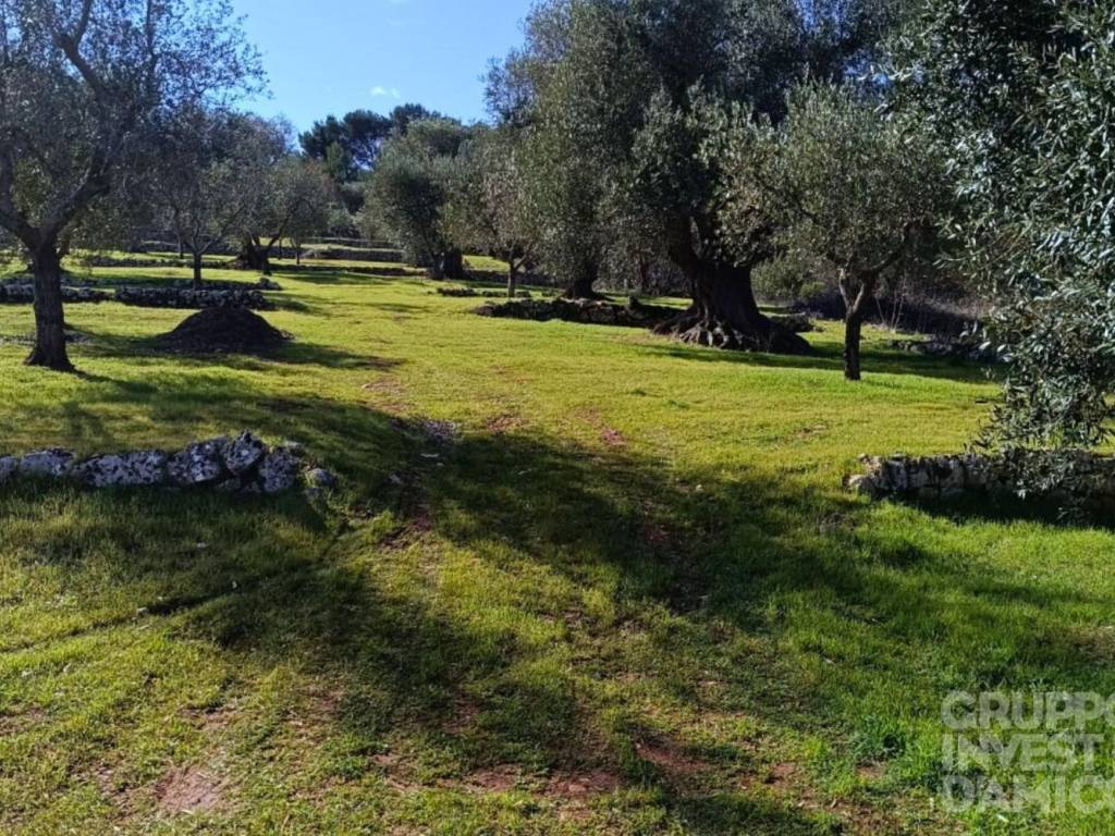 Villa a Ceglie messapica in Contrada Zilapampini - Foto 5