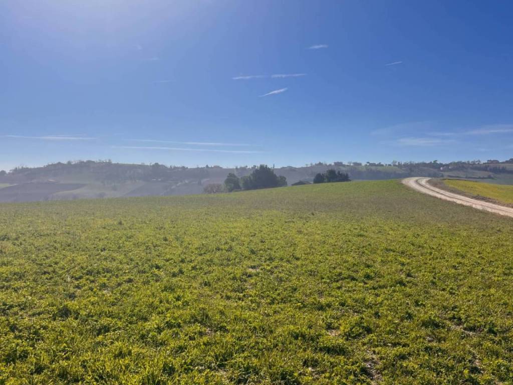 Terreno a Recanati in C.da Montefiore, 89 - Foto 2