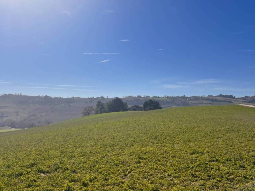 Terreno a Recanati in C.da Montefiore, 89 - Foto 3
