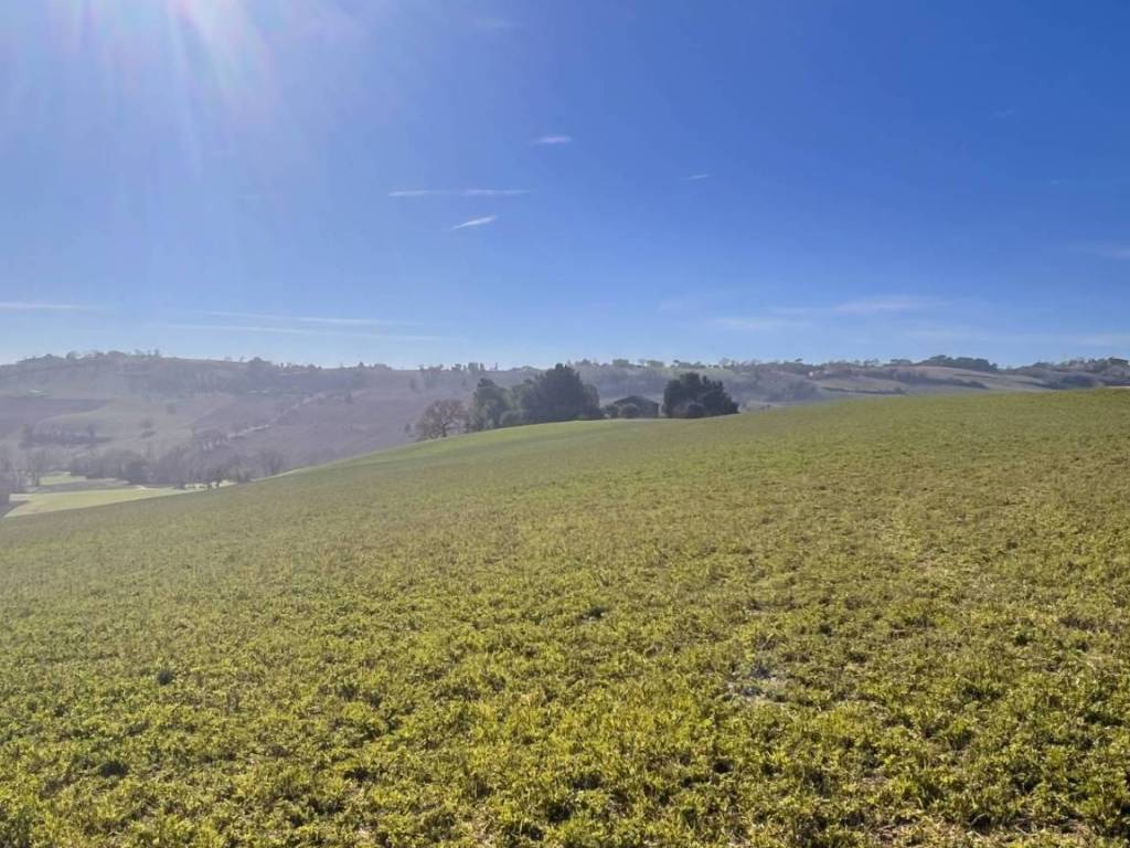 Terreno a Recanati in C.da Montefiore, 89 - Foto 4