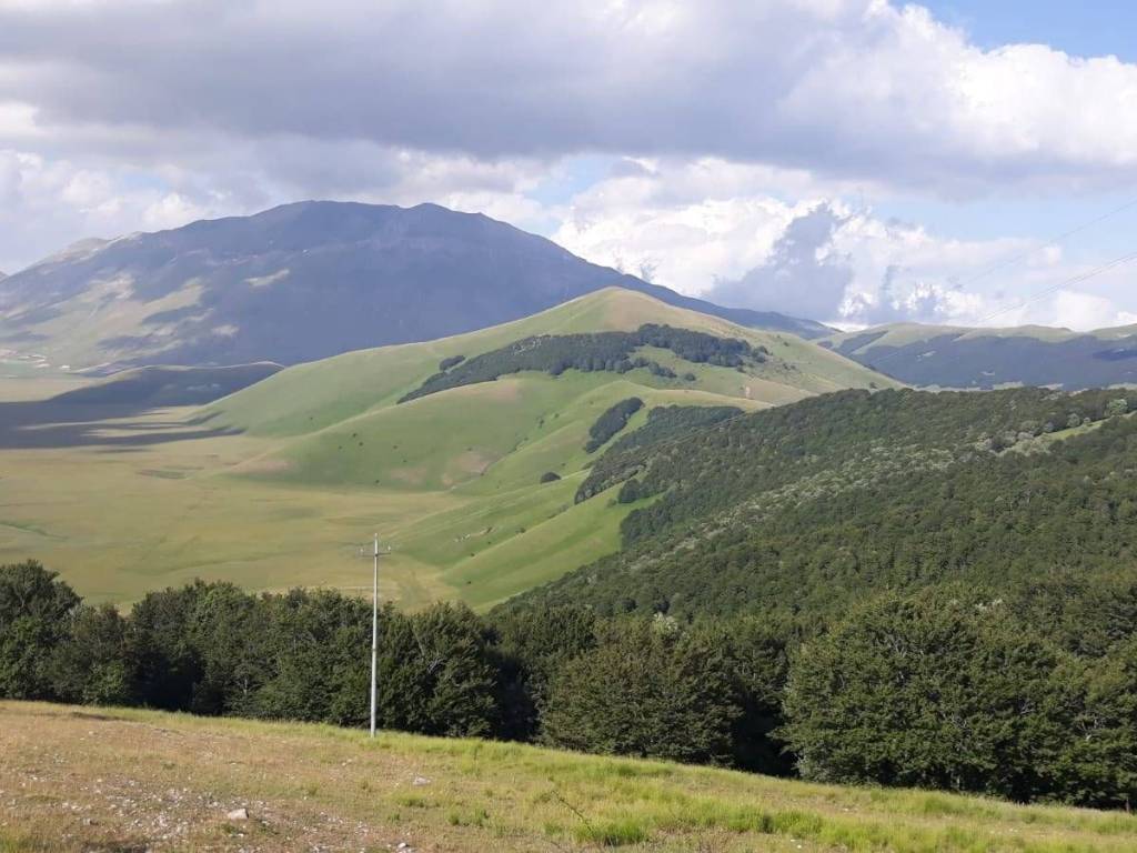 Terreno a Castorano in strada provinciale - Foto 2