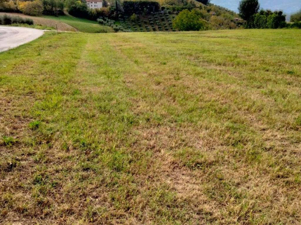 Terreno a Castorano in strada provinciale - Foto 3