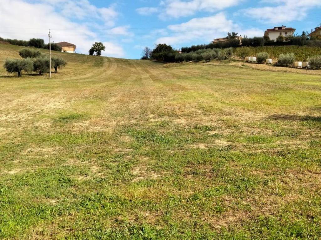 Terreno a Castorano in strada provinciale - Foto 4