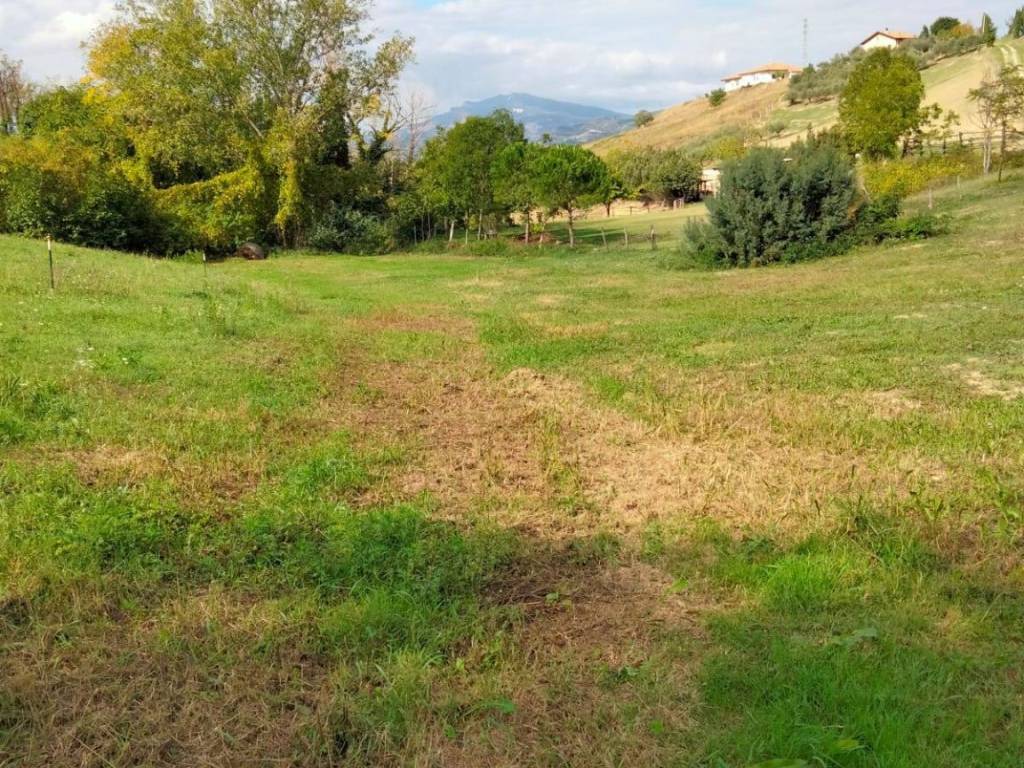 Terreno a Castorano in strada provinciale - Foto 5