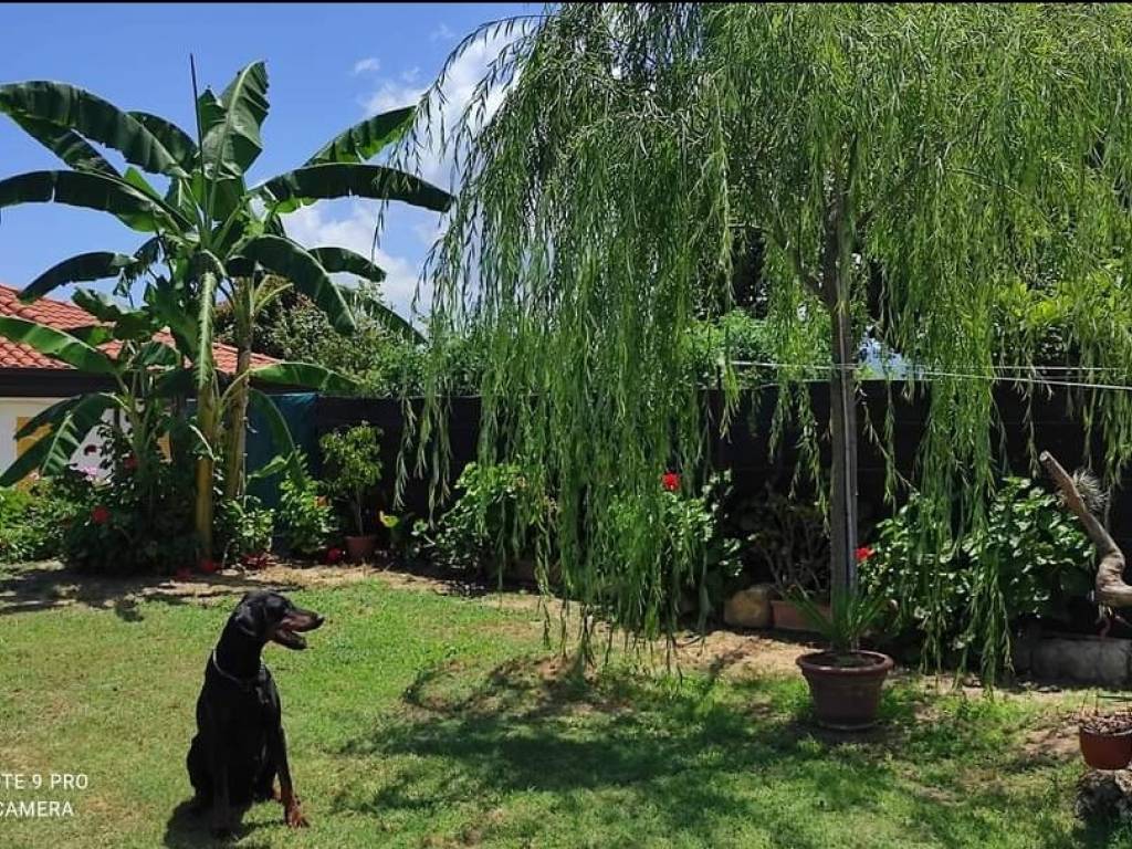 Villa a Briatico in Via Provinciale - Foto 2