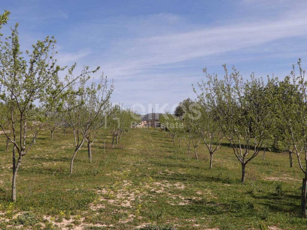 Terreno a Noto in c.da castelluccio - Foto 2