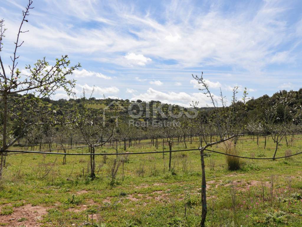 Terreno a Noto in c.da castelluccio - Foto 3