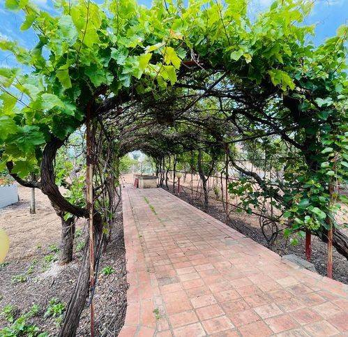 Villa a Vittoria in Sp2 81 - Foto 5