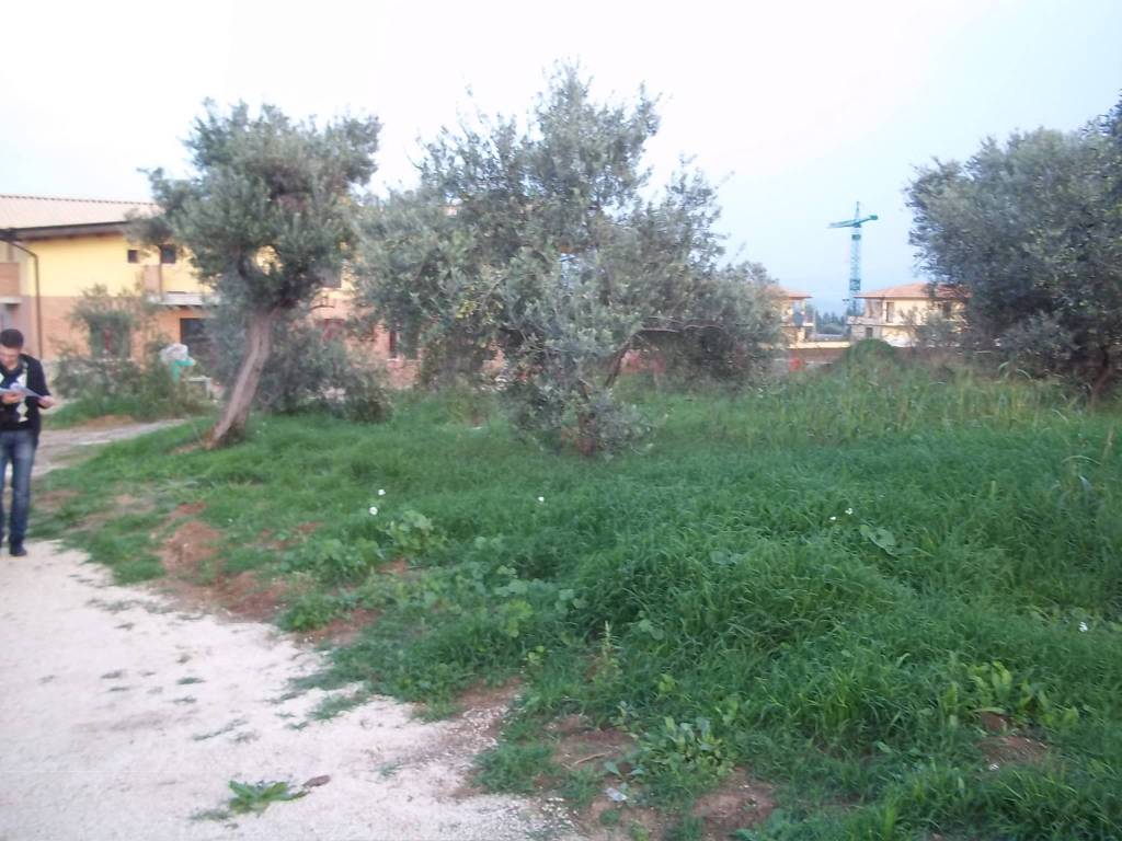 Terreno a Rosciano in Via Colli, 13 - Foto 3