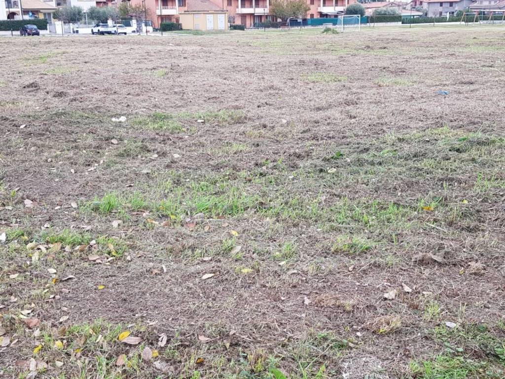 Terreno a Colli al metauro in Calcinelli - Foto 4