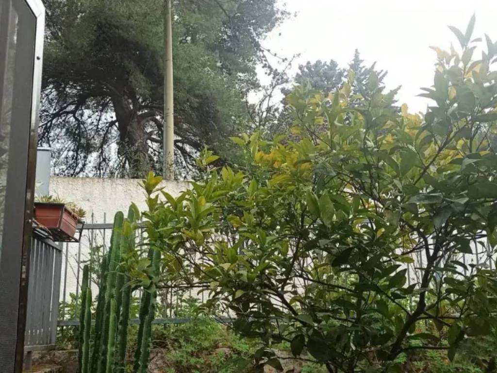 Villa a Peschici in Villaggio Moresco Alto - Foto 3