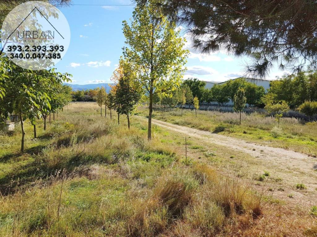 Terreno a Celano - Foto 5