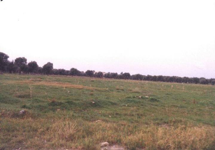 Terreno a Corigliano-rossano in LOC. CROSETTO - Foto 2