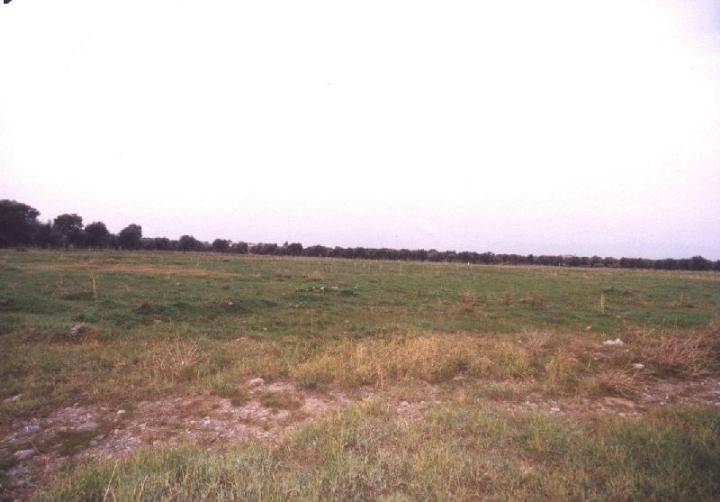 Terreno a Corigliano-rossano in LOC. CROSETTO - Foto 4