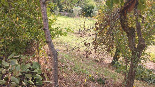 Villa a Sansepolcro in Frazione Paradiso - Foto 4