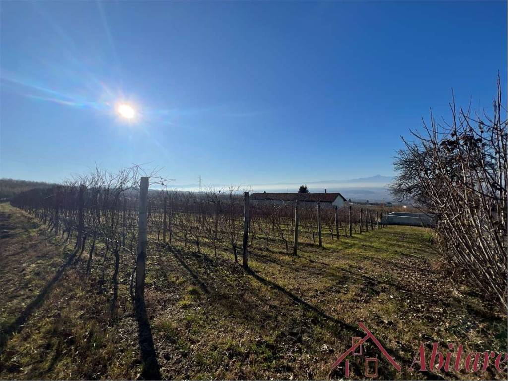 Terreno a La morra in Borgata Castagni, 6 - Foto 2