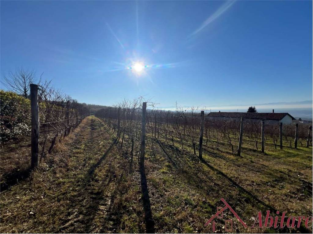 Terreno a La morra in Borgata Castagni, 6 - Foto 3