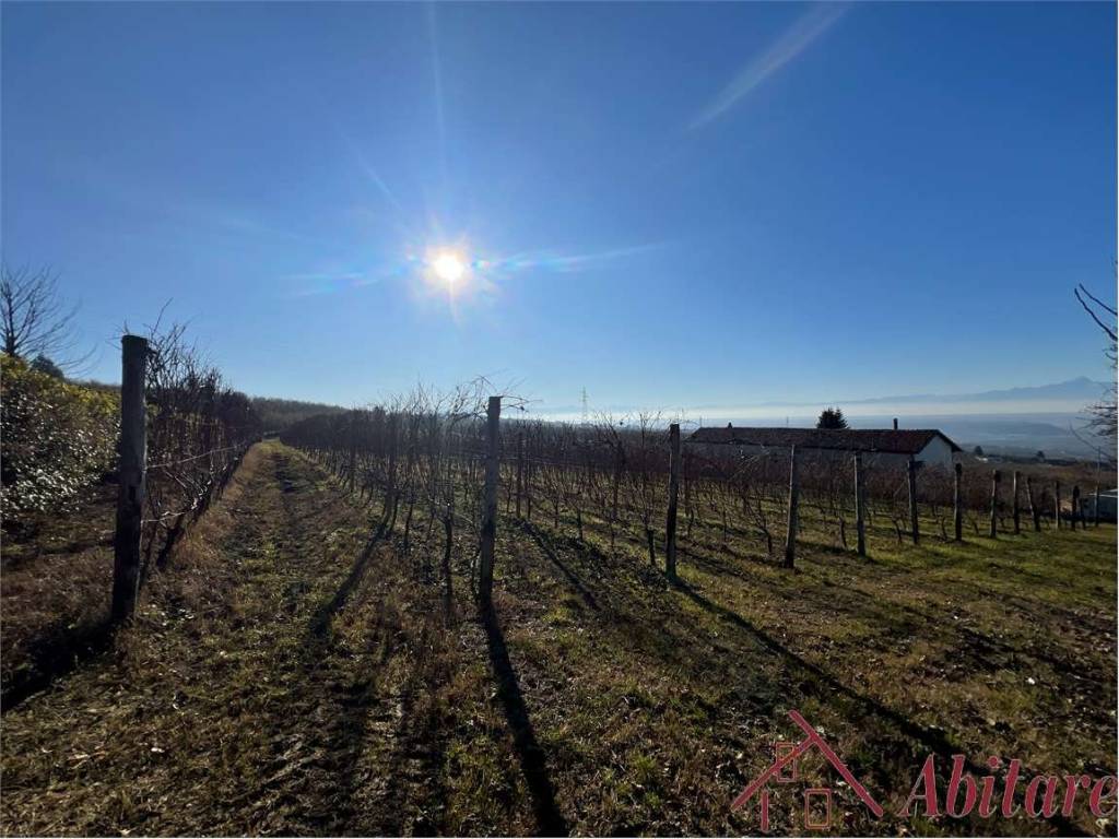 Terreno a La morra in Borgata Castagni, 6 - Foto 5