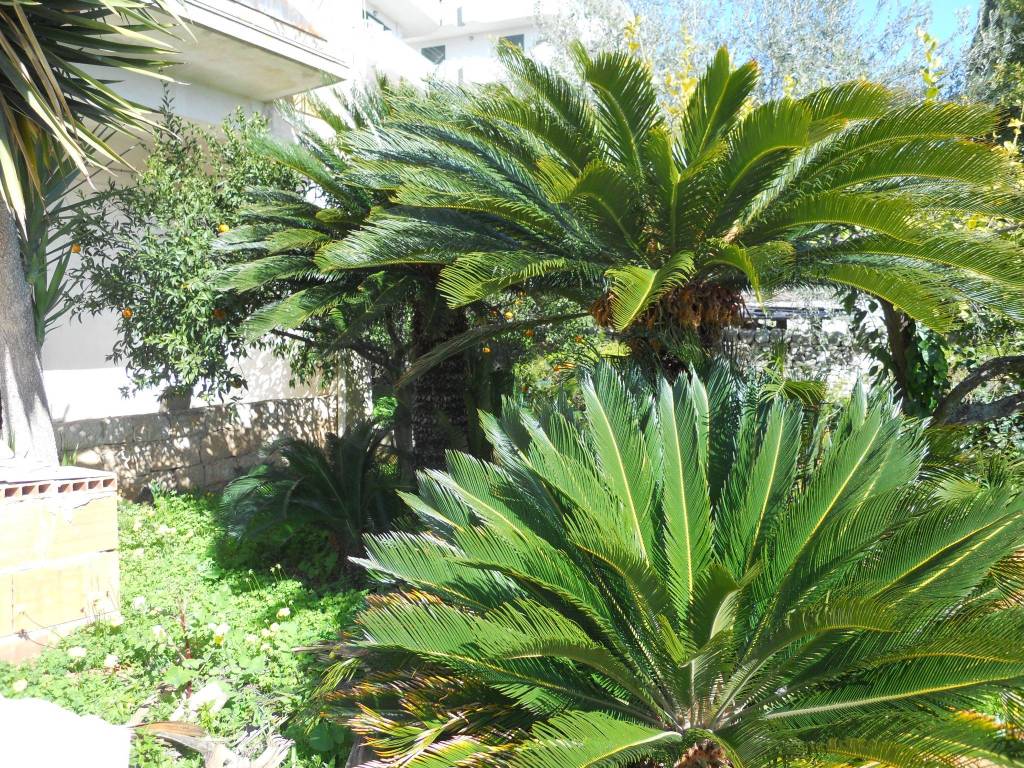 Villa a Modica in Via Vinicio Rizza - Foto 3