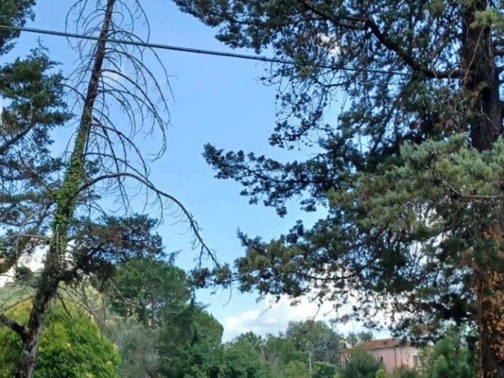 Villa a Arce in Via Campanile - Foto 1