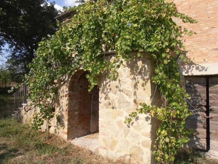 Rustico / casale a Pienza - Foto 2