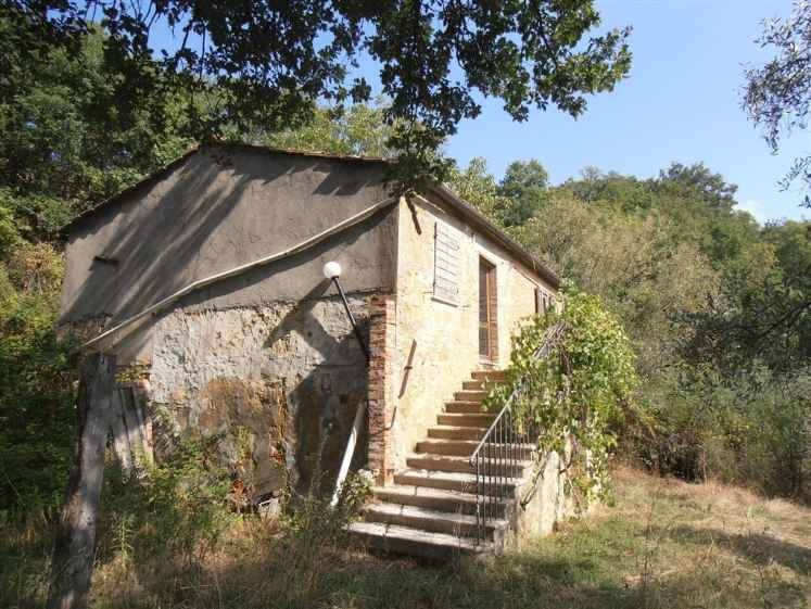 Rustico / casale a Pienza - Foto 3