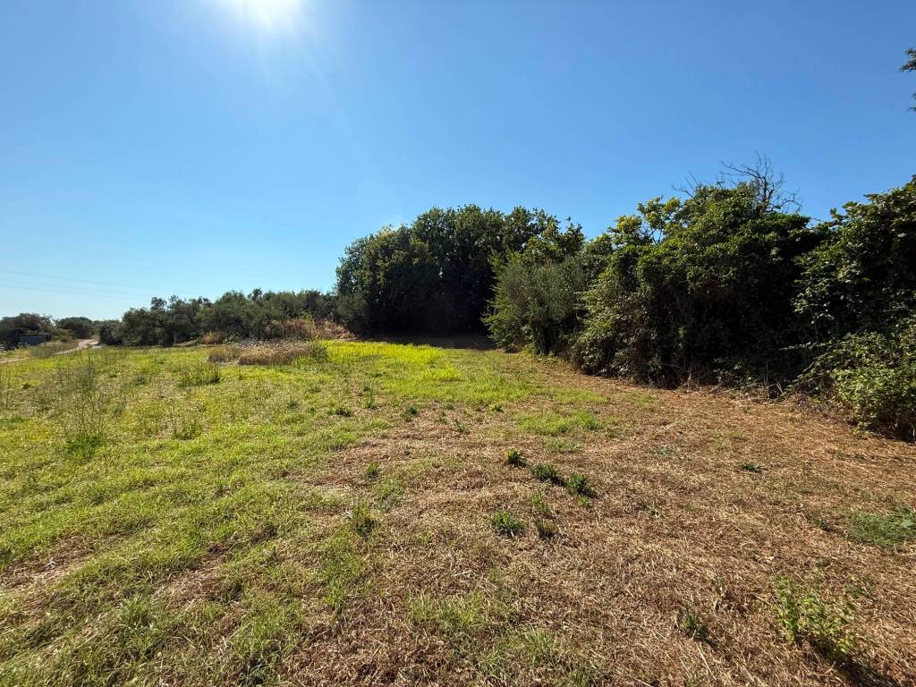 Terreno a Genzano di roma in Via Selva Piammarano - Foto 3