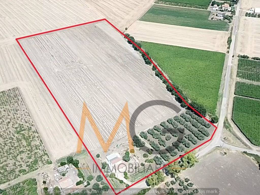 Villa a Campomarino in Via dei Grappoli, 14 - Foto 2
