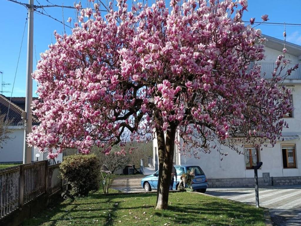 Villa a Valenza in Via Brescia, 101 - Foto 4