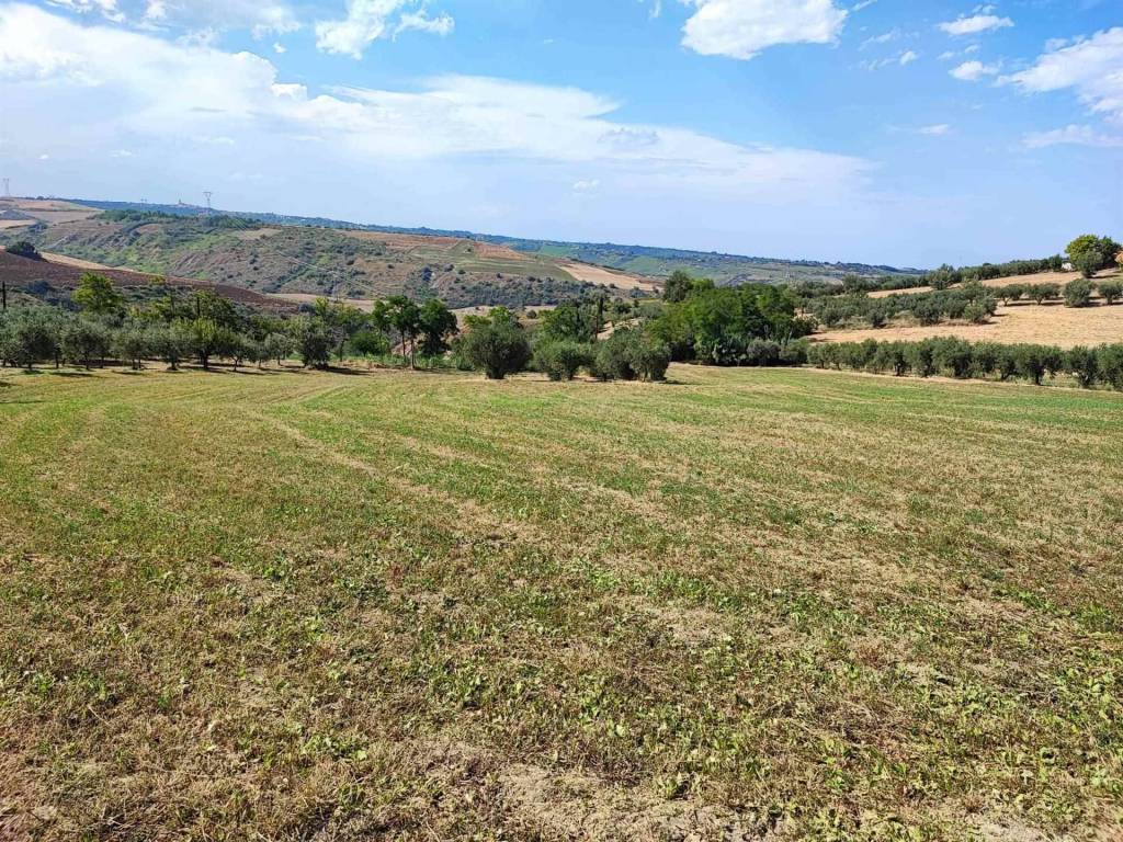 Terreno a Castel frentano - Foto 4