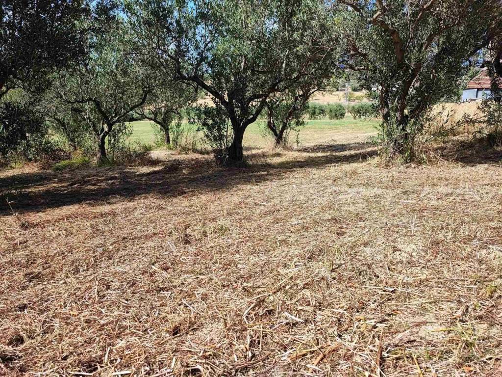 Terreno a Castel frentano - Foto 5