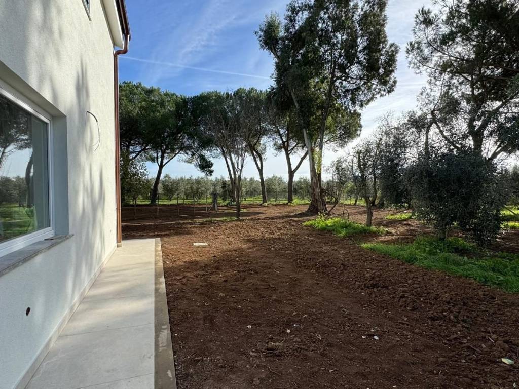Rustico / casale a Magliano in toscana - Foto 4