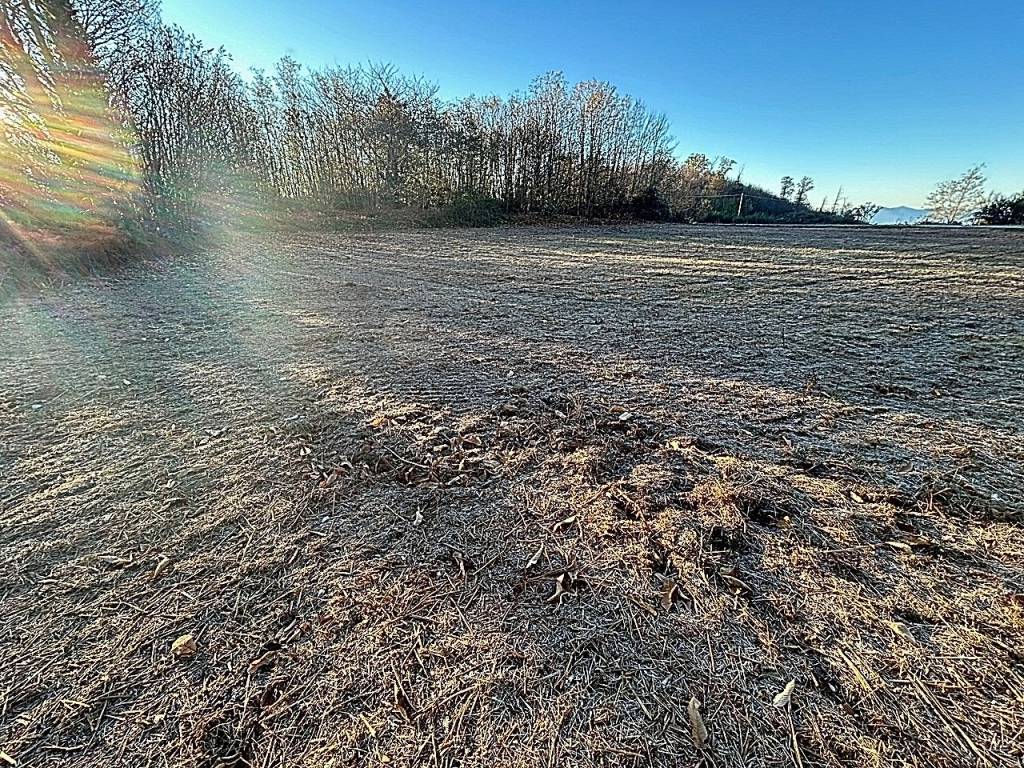 Terreno a Marliana - Foto 3