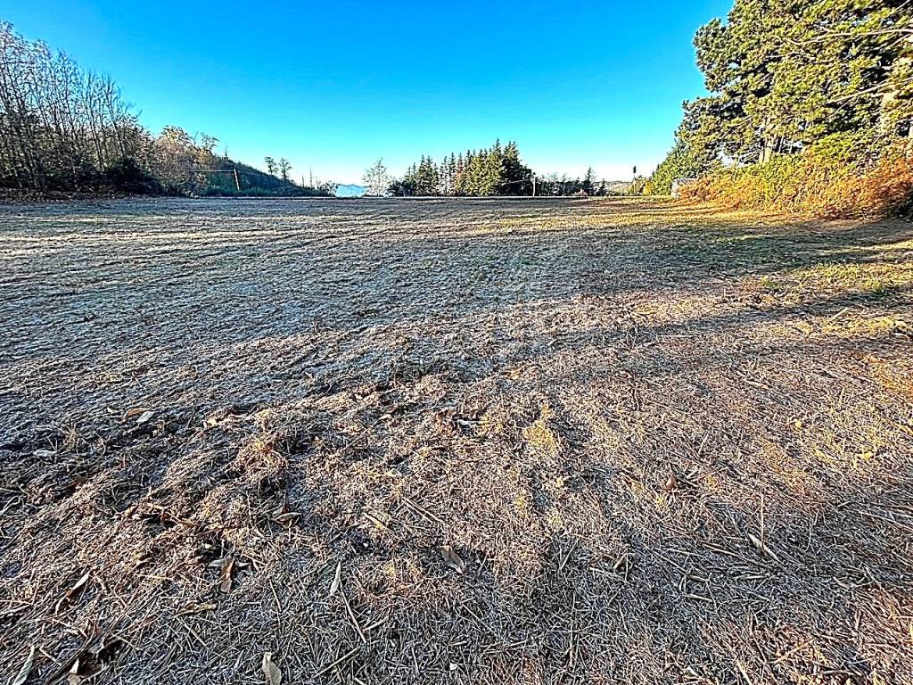 Terreno a Marliana - Foto 4