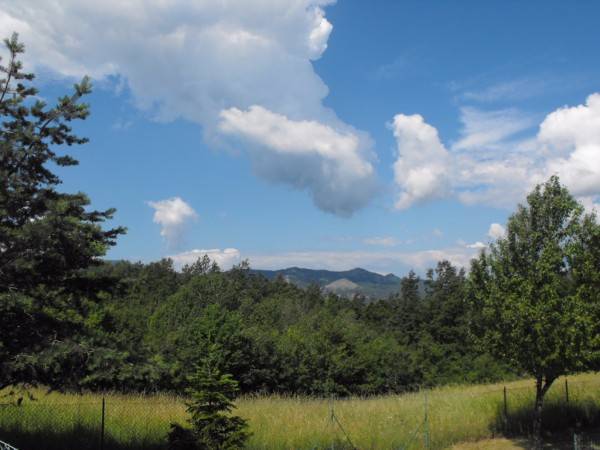Terreno a Berceto in Frazione Berceto - Foto 4