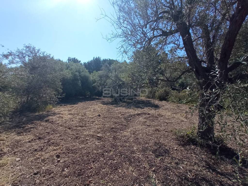 Terreno a Siracusa in VIA SAN GIOVANNI BOSCO - Foto 2