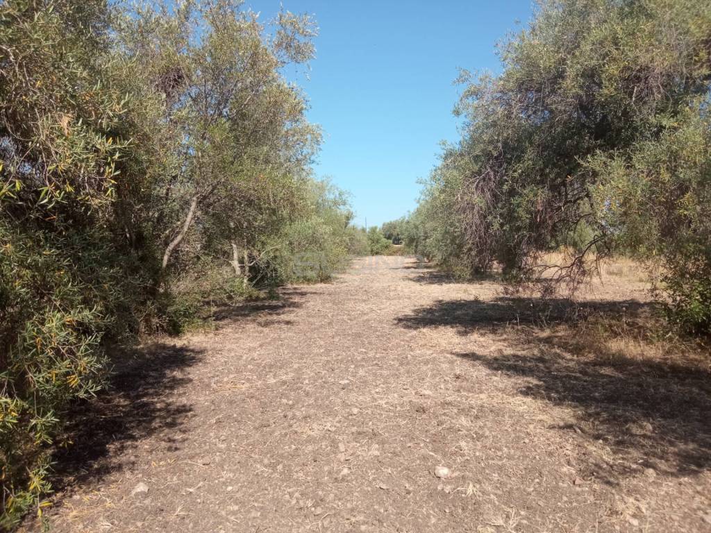 Terreno a Siracusa in VIA SAN GIOVANNI BOSCO - Foto 3