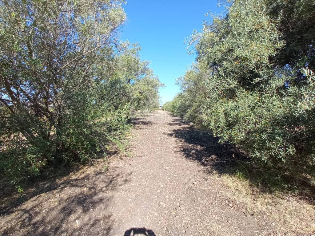 Terreno a Siracusa in VIA SAN GIOVANNI BOSCO - Foto 4