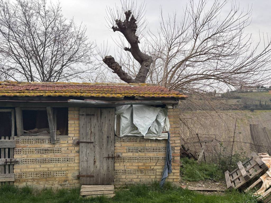 Rustico / casale a Montefano in Via Costanzi - Foto 4