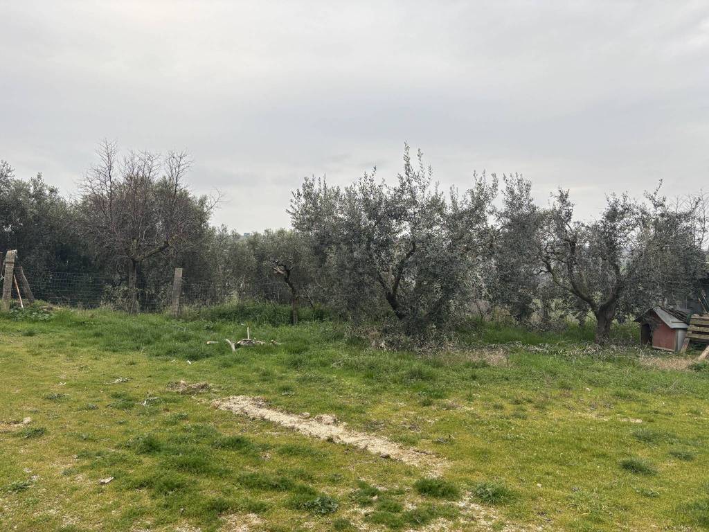 Rustico / casale a Montefano in Via Costanzi - Foto 5
