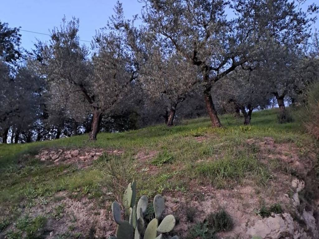 Terreno a Anagni in Via Colle Poria, snc - Foto 2