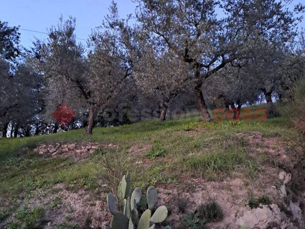 Terreno a Anagni in Via Colle Poria, snc - Foto 2