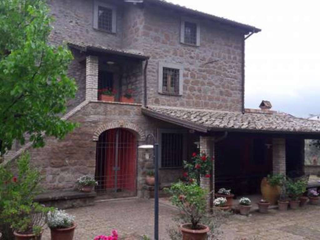 Rustico / casale a Vetralla - Foto 3