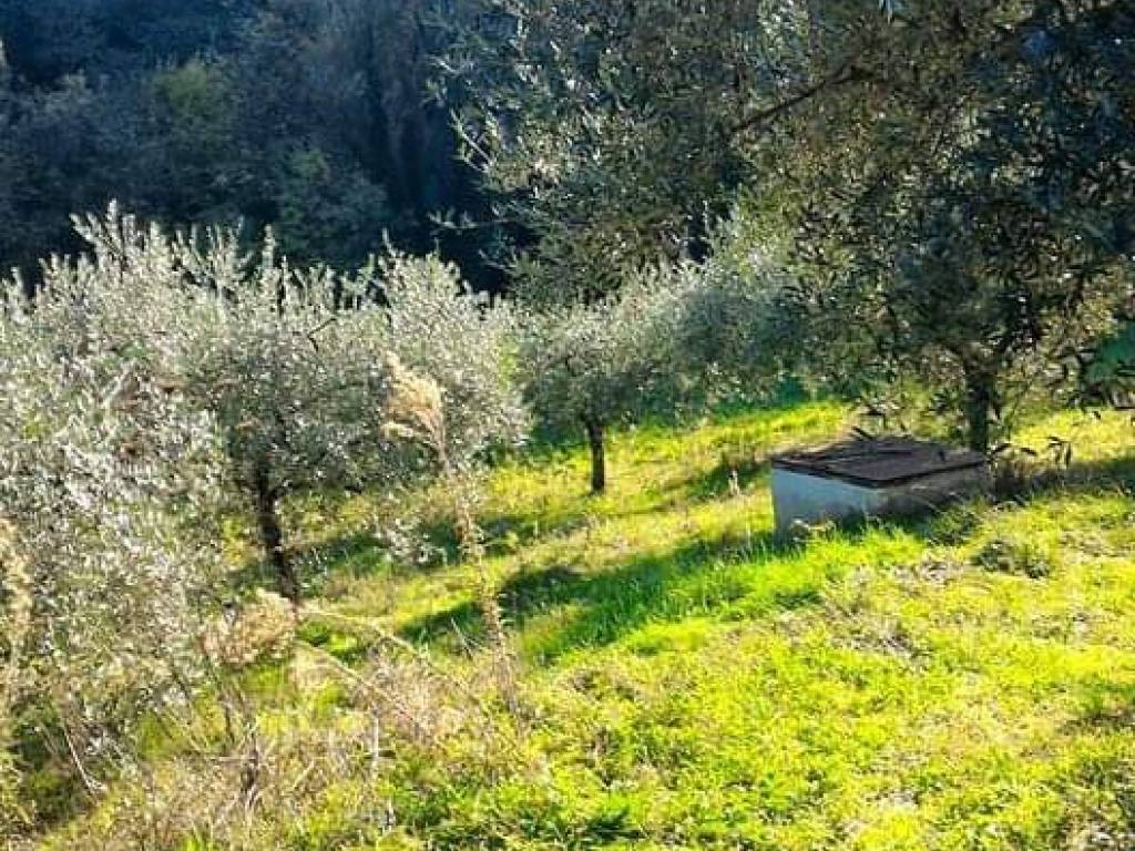Terreno a Perugia in Via Eugubina - Foto 2