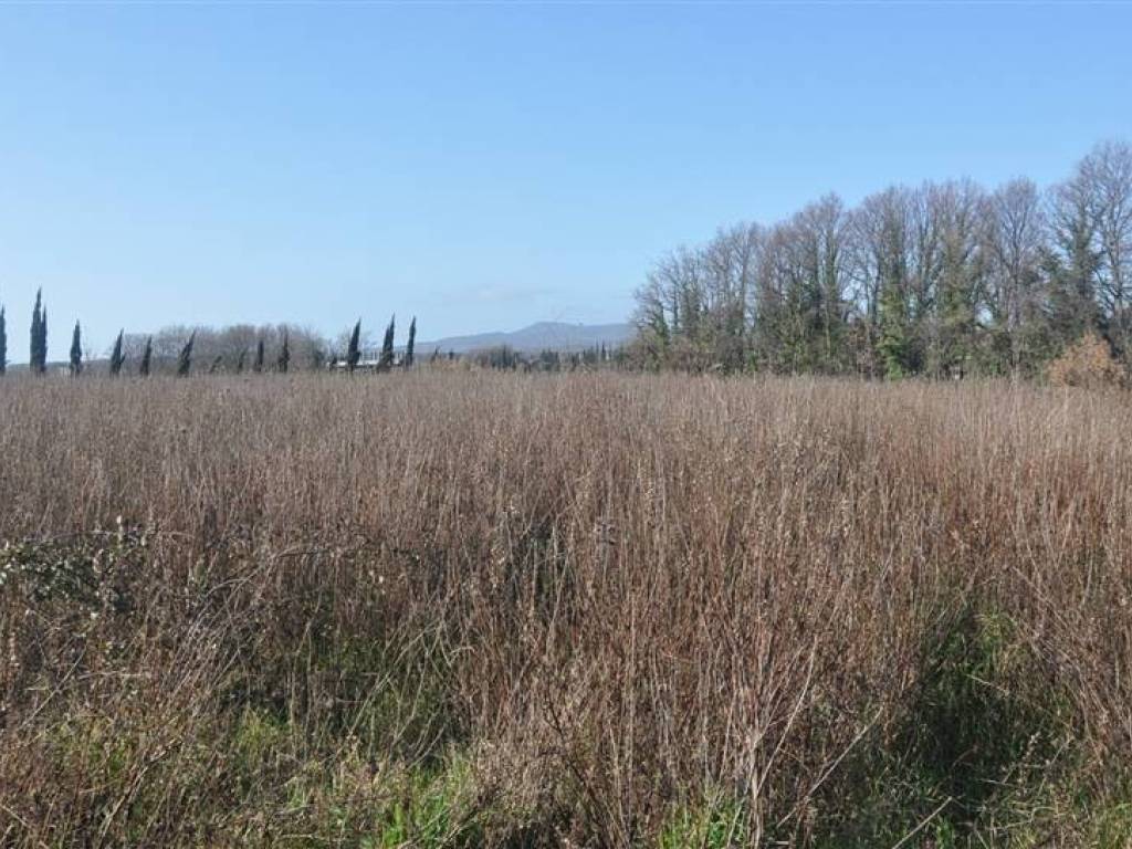 Terreno a Rosignano marittimo in S.R. 206 - Foto 2