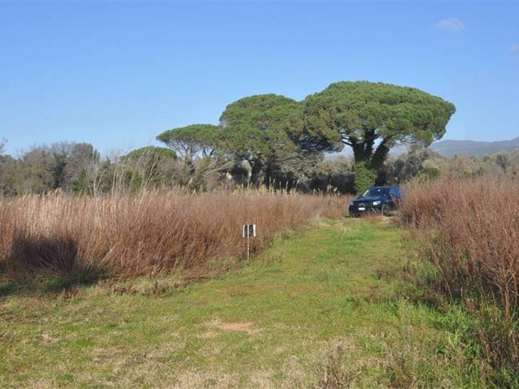 Terreno a Rosignano marittimo in S.R. 206 - Foto 3
